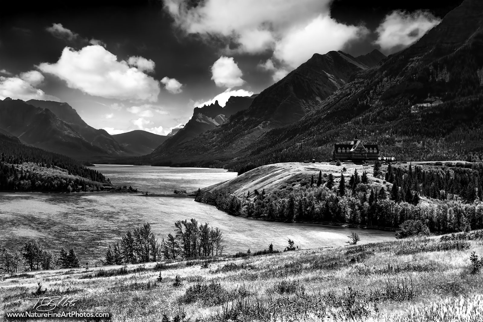 Black And White Nature Photos For Sale Nature Photos